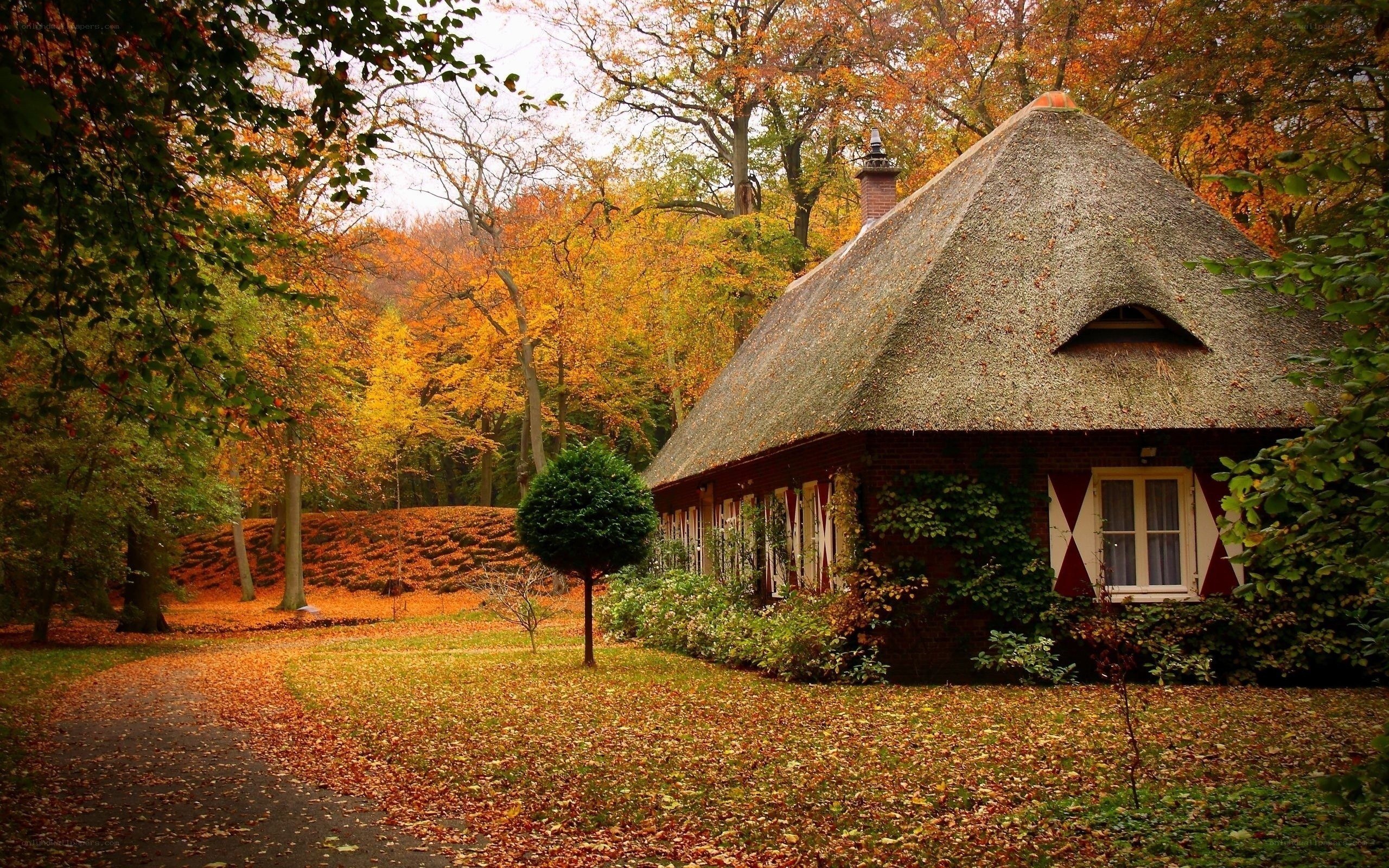 Autumn cottage in forest