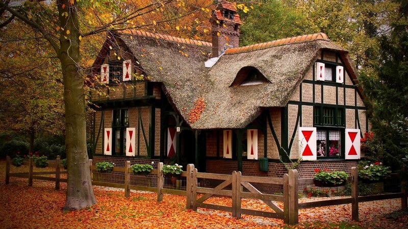 Autumn cottage in the forest