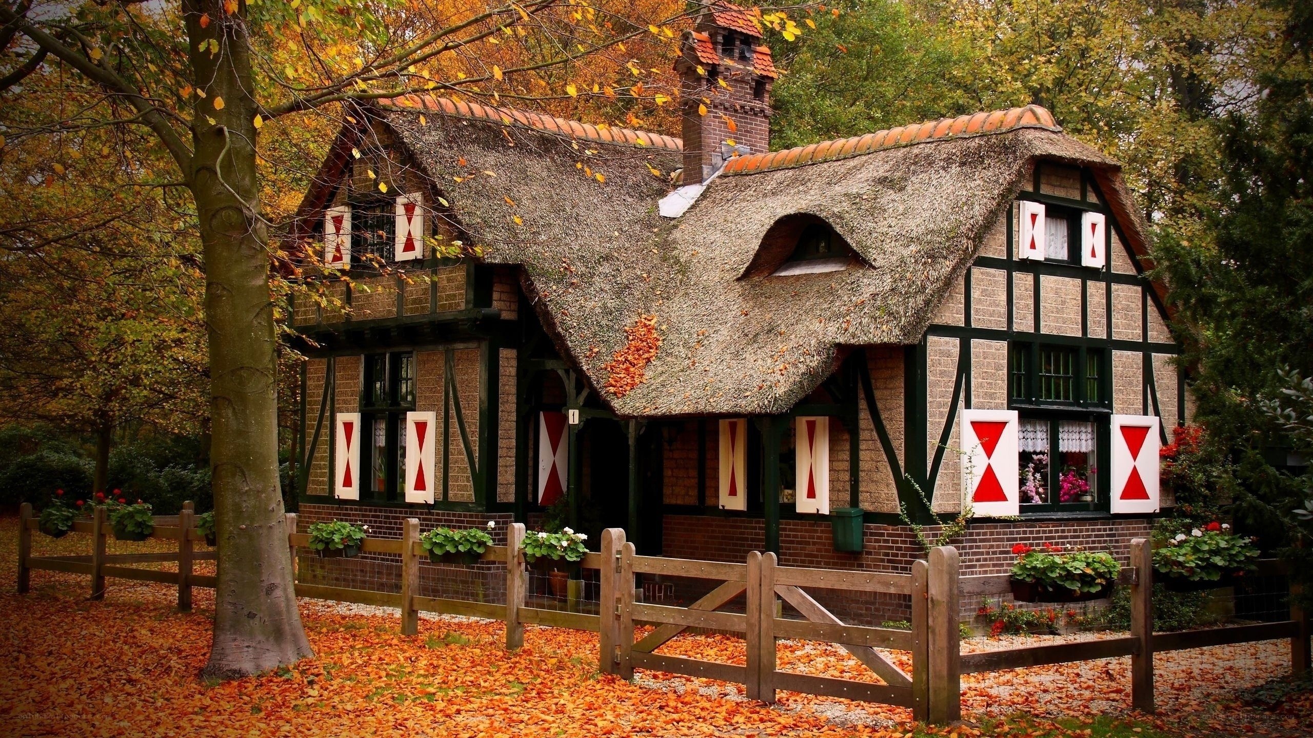 Autumn cottage in the forest