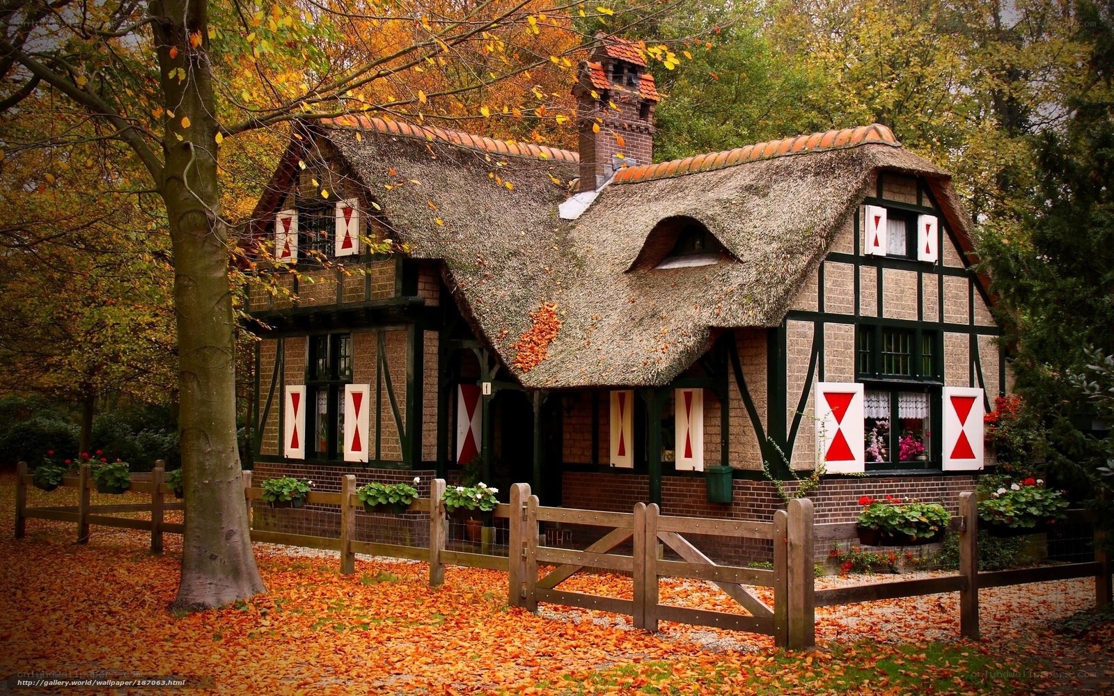 Autumn cottage in the forest