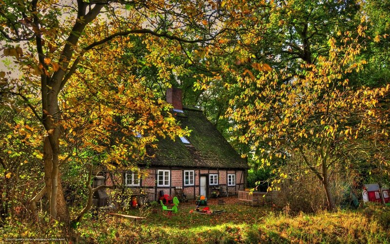 Autumn cottage in the woods