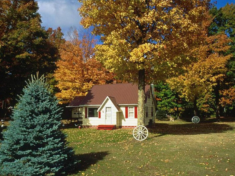 Autumn cottage in the woods