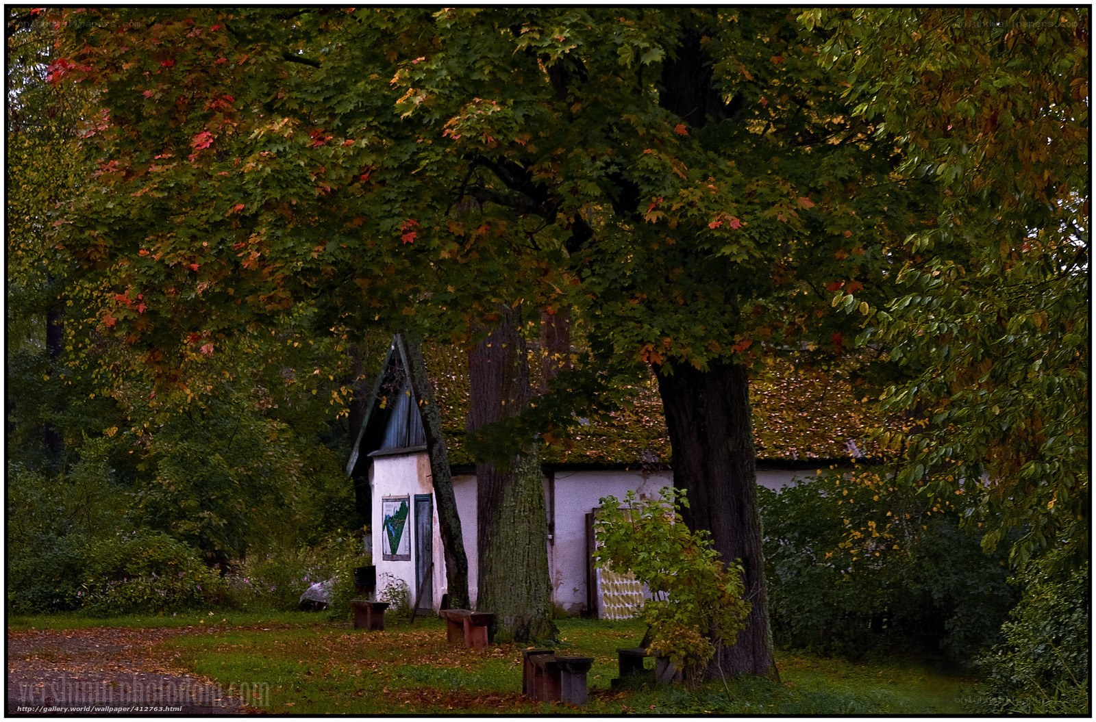 Autumn cottage in the woods
