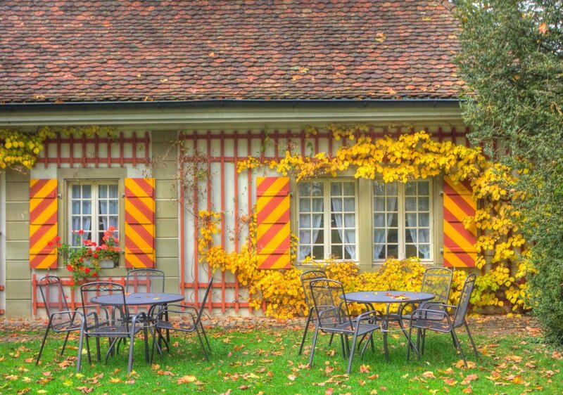 Autumn cottage with yellow leaves