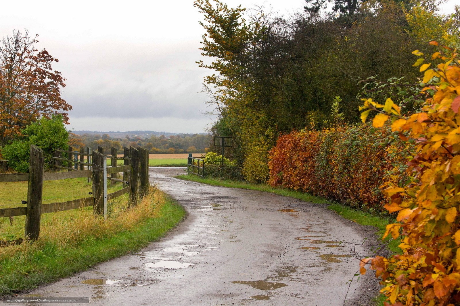 Autumn country road
