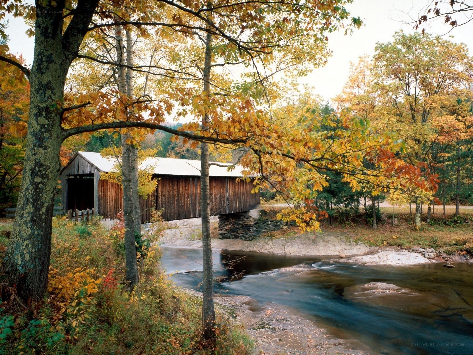 Autumn covered bridge scene