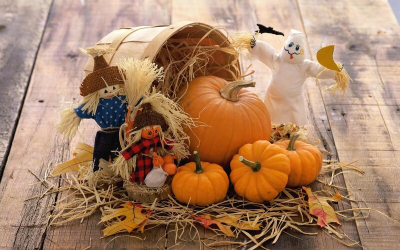 Autumn Decorations on Wood