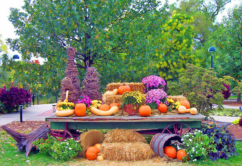 Autumn Display on Wagon