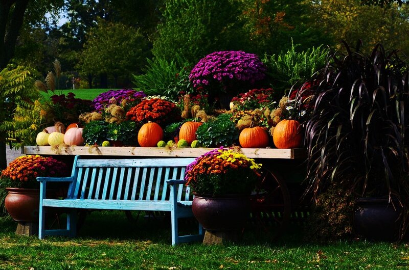 Autumn Display with Pumpkins