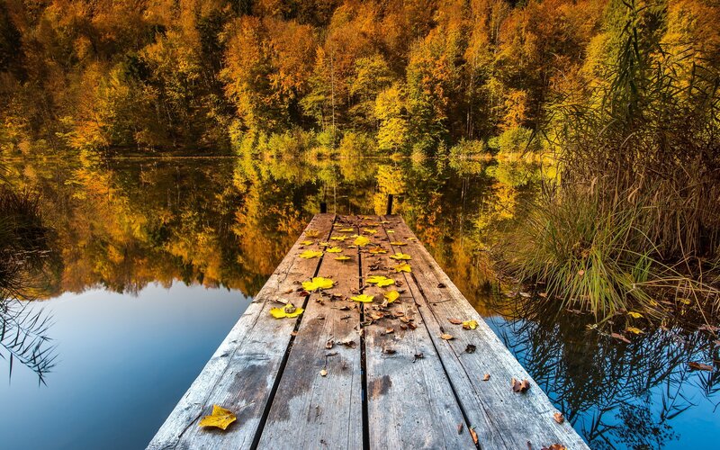 Autumn dock by the lake