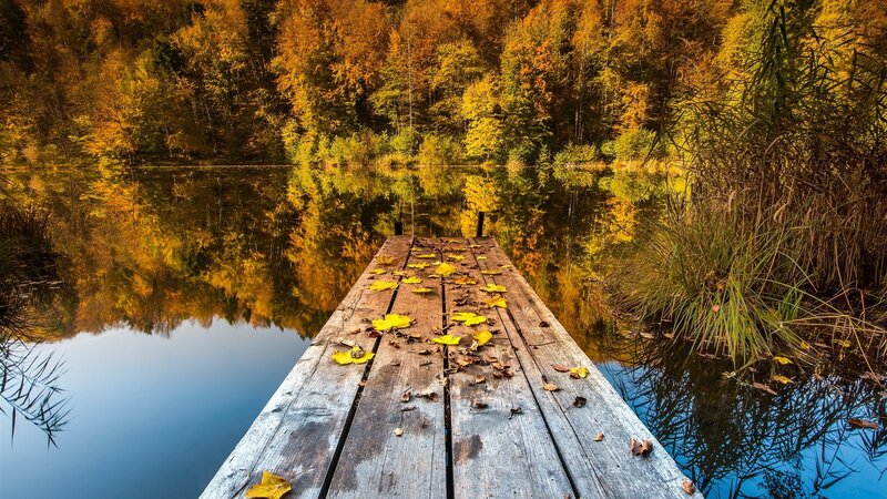 Autumn dock by the lake