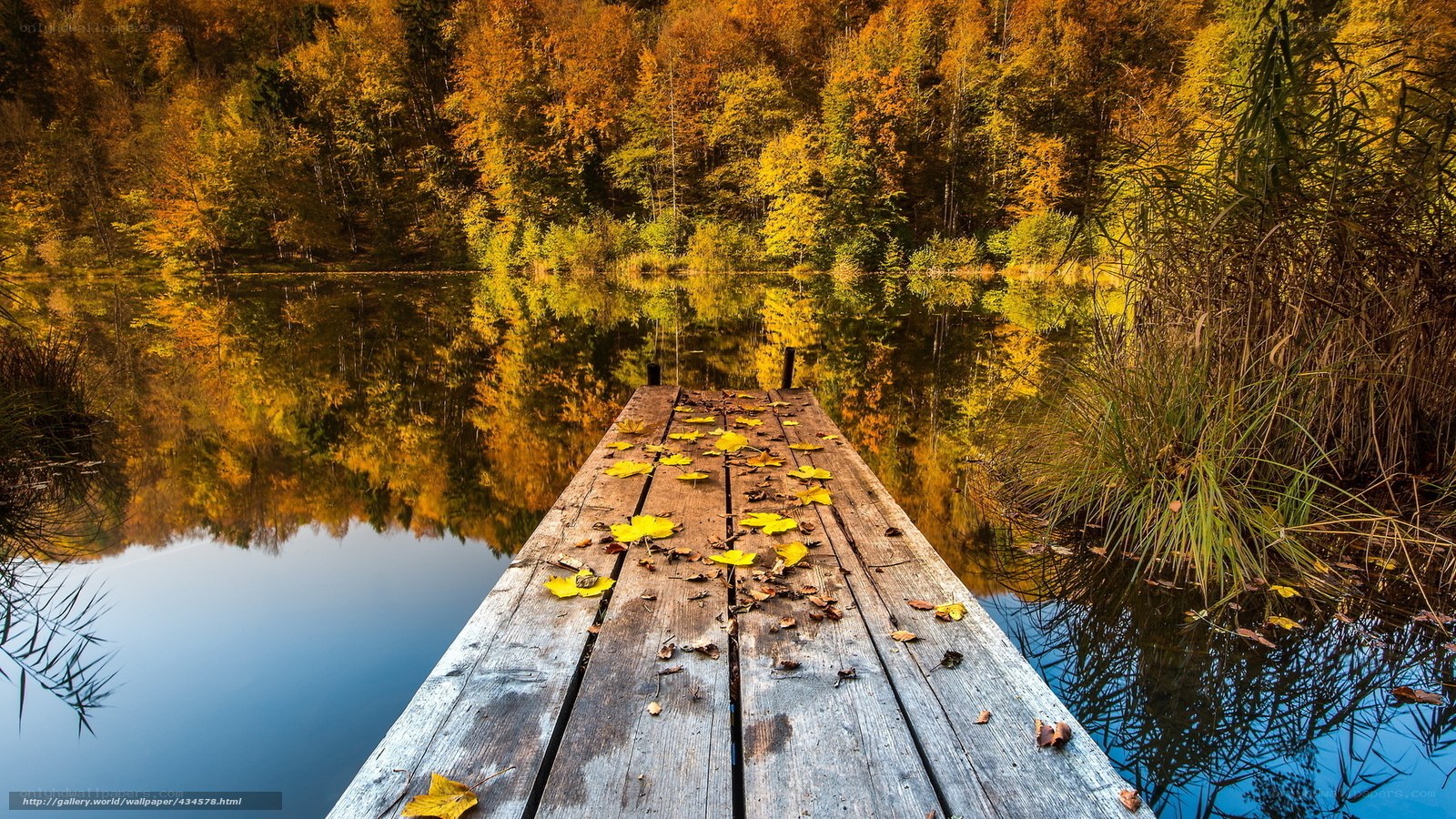 Autumn dock by the lake