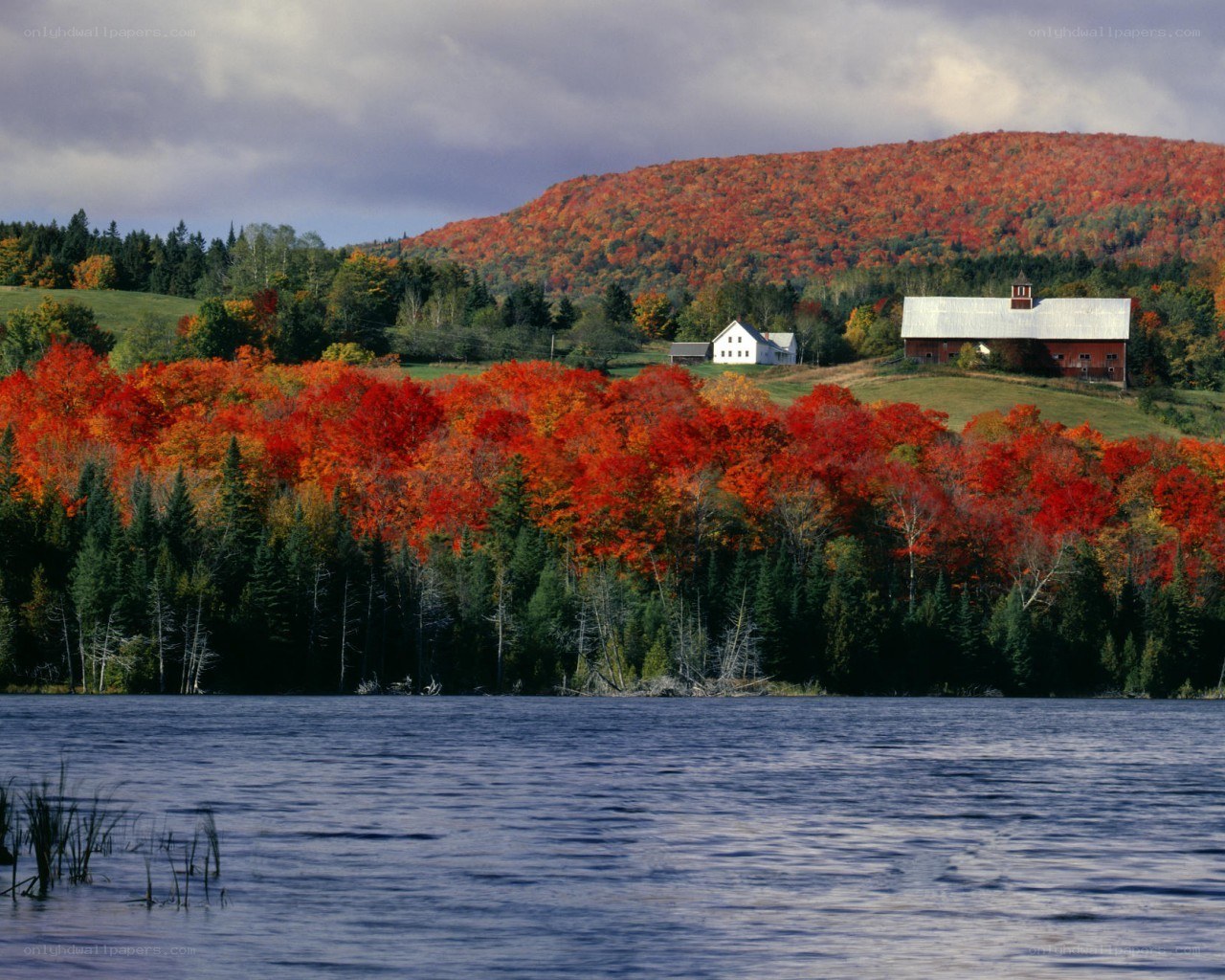Autumn farm by the lake