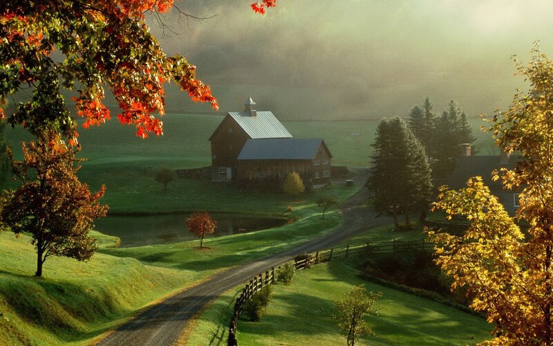 Autumn farm in the mist