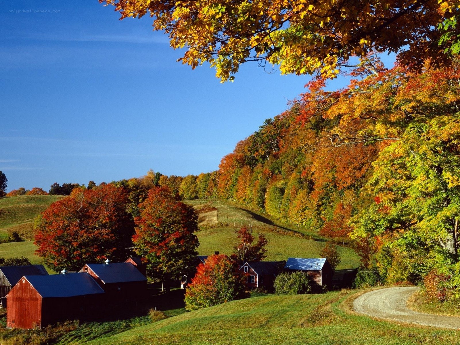 Autumn farm in Vermont