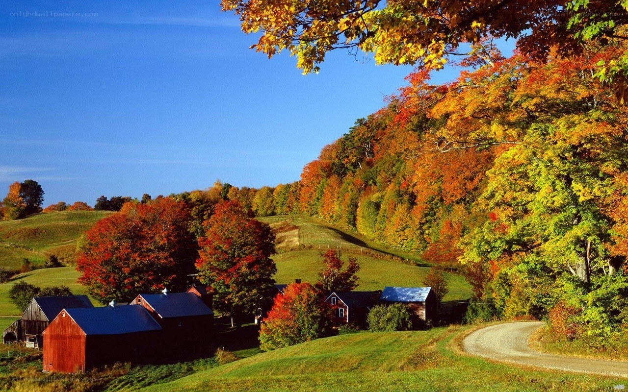 Autumn farm landscape