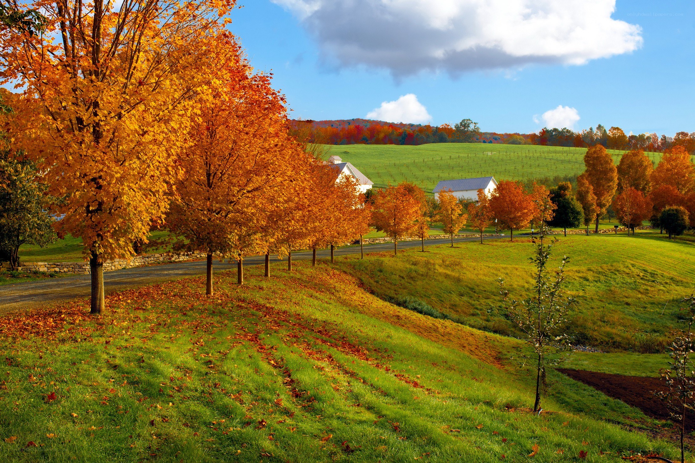 Autumn farm landscape