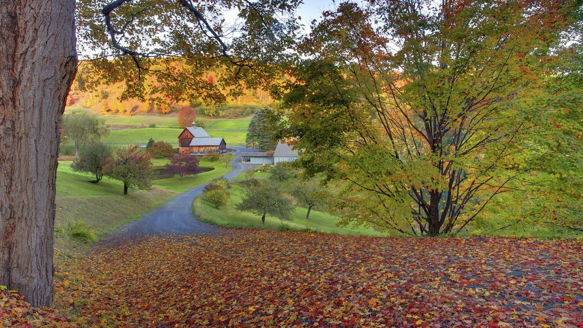 Autumn farm landscape