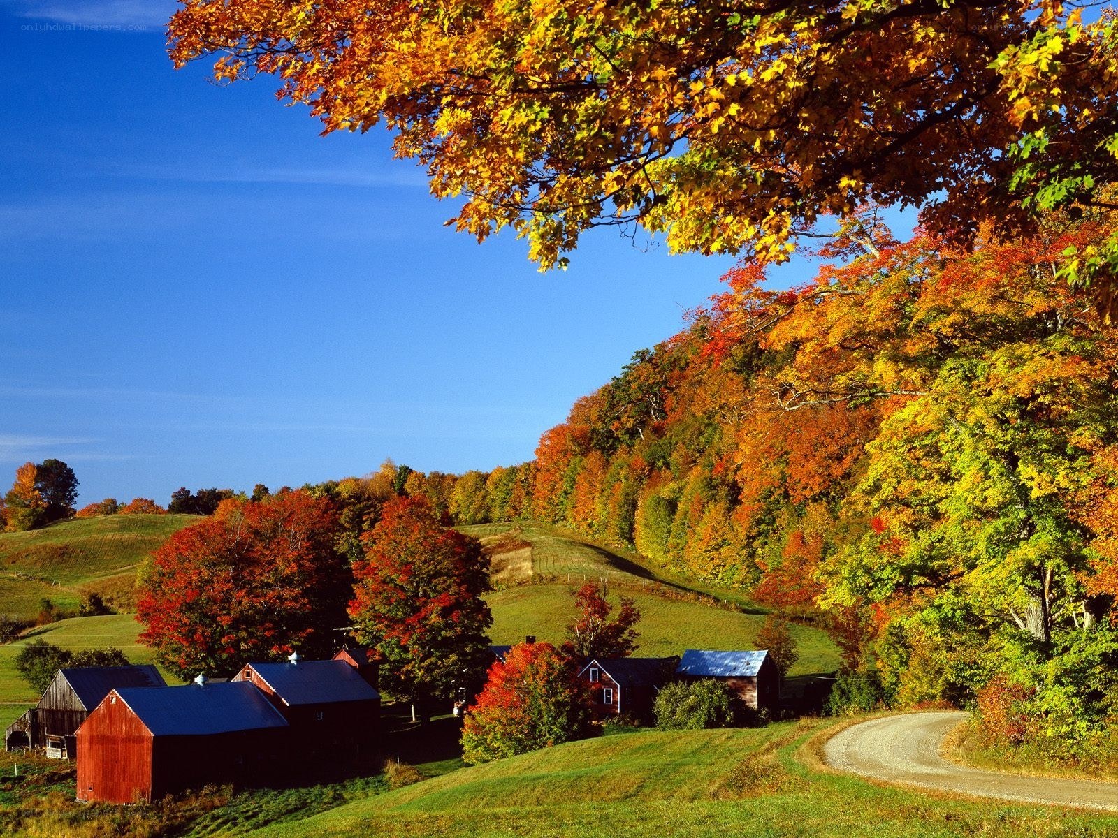Autumn farm landscape
