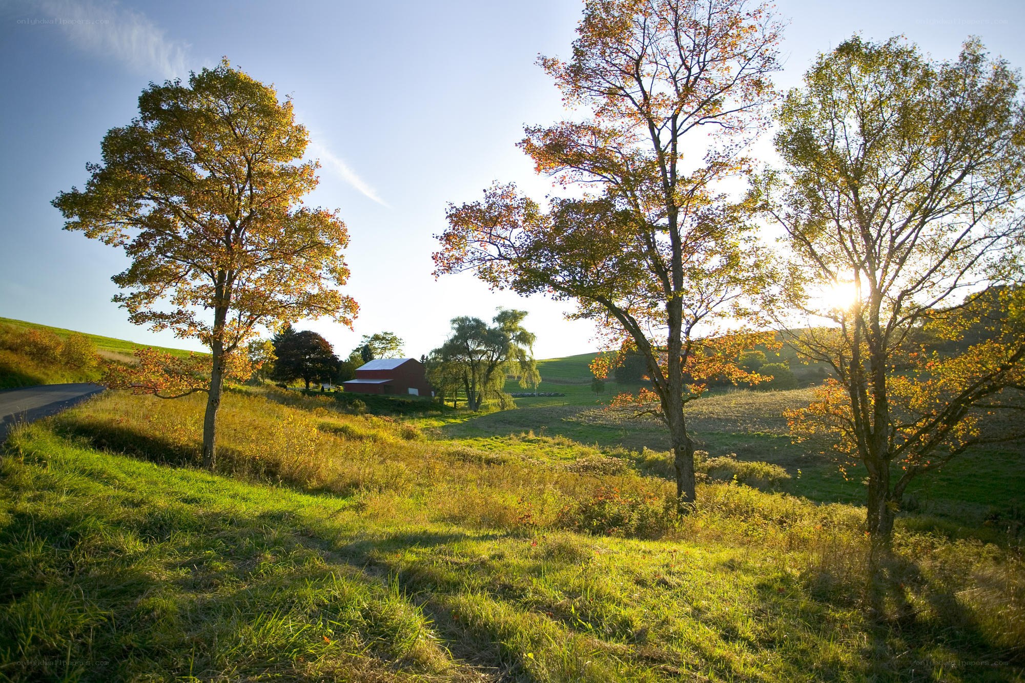 Autumn farm landscape