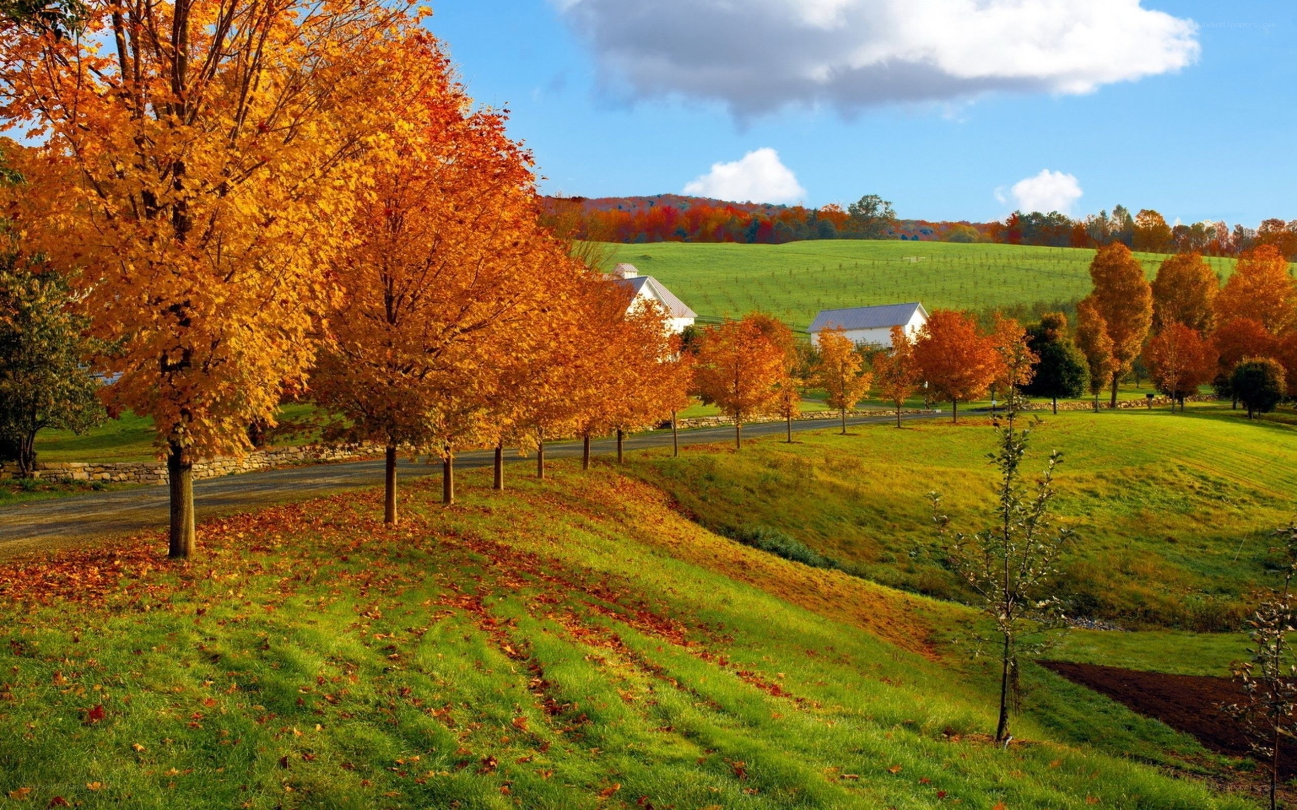 Autumn farm landscape