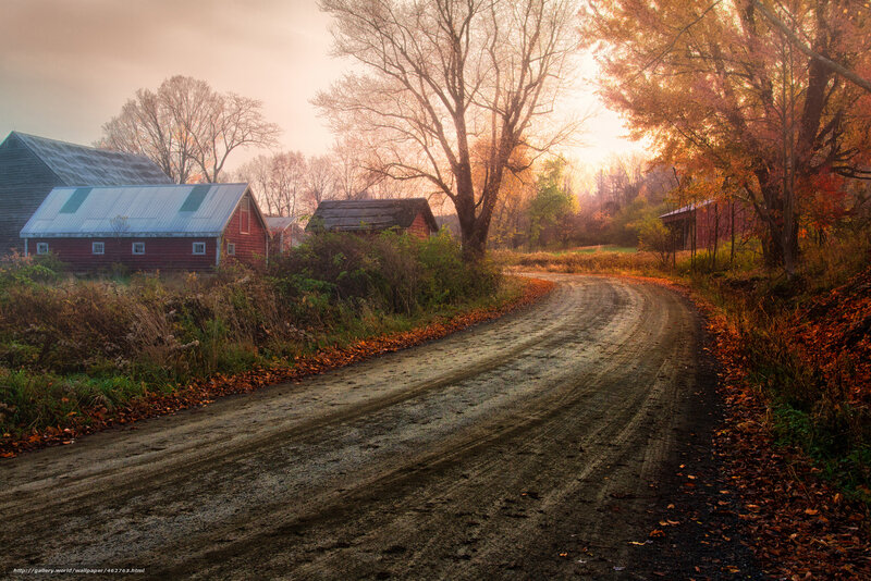 Autumn farm road at sunrise