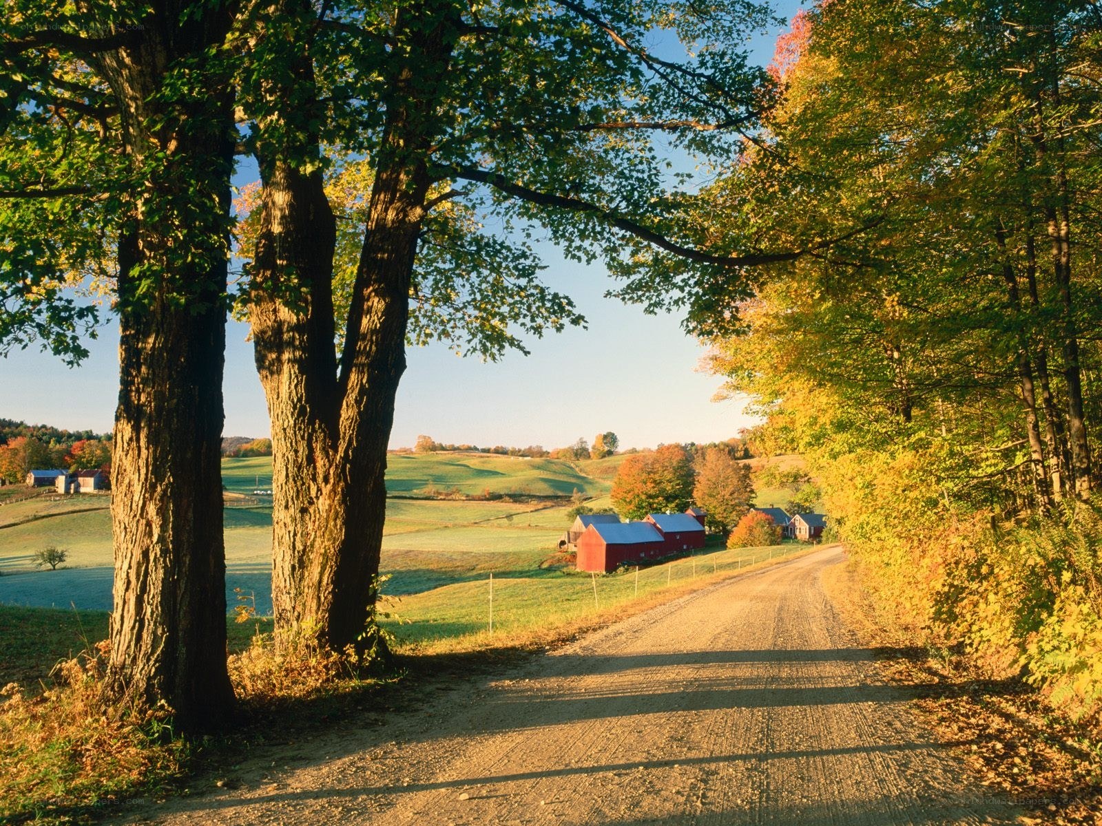 Autumn farm road scene