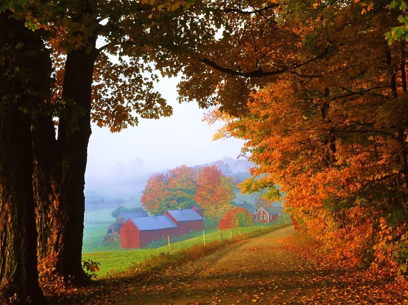 Autumn farm road