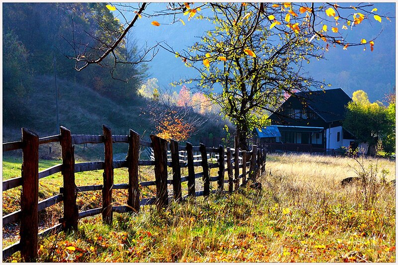 Autumn Farm Scene — Yellow, Serene