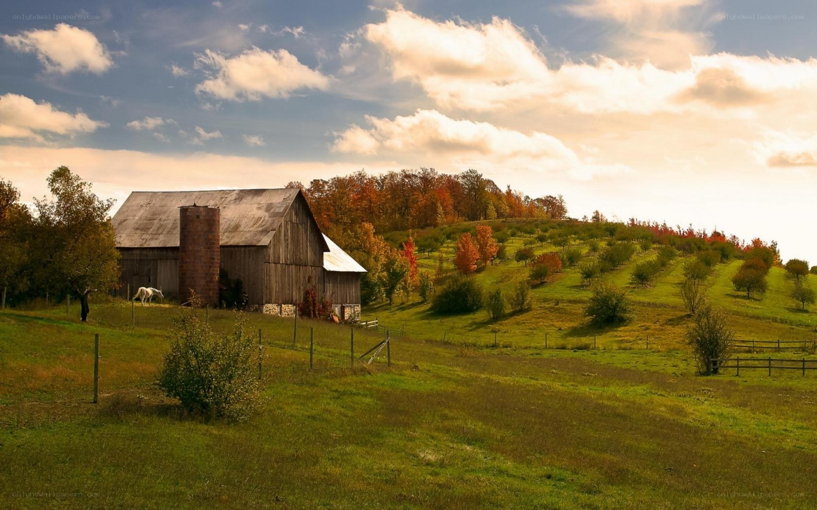 Autumn farm with barn