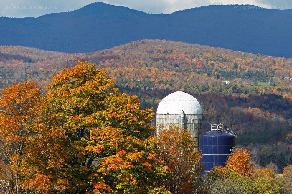 Autumn farm with silos