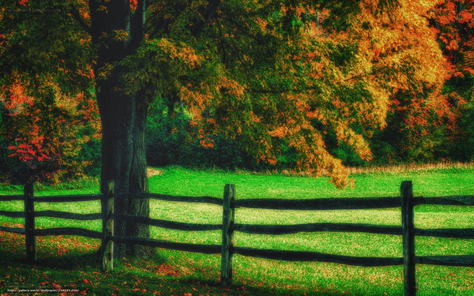 Autumn fence in a green field