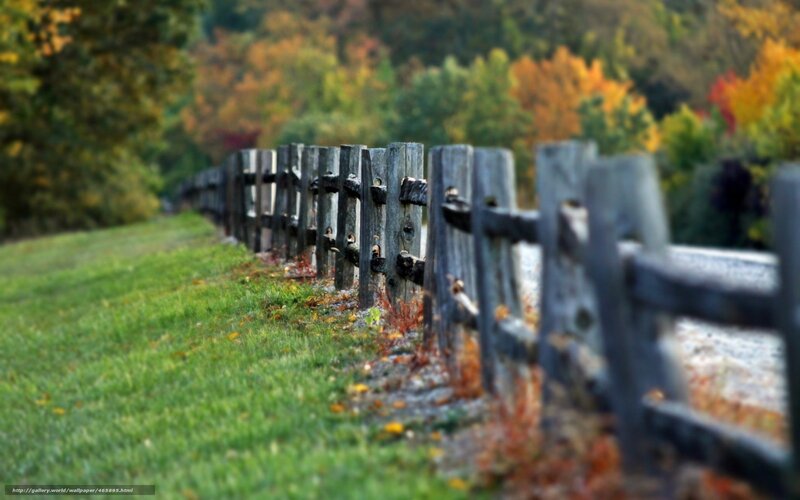 Autumn fence in the countryside