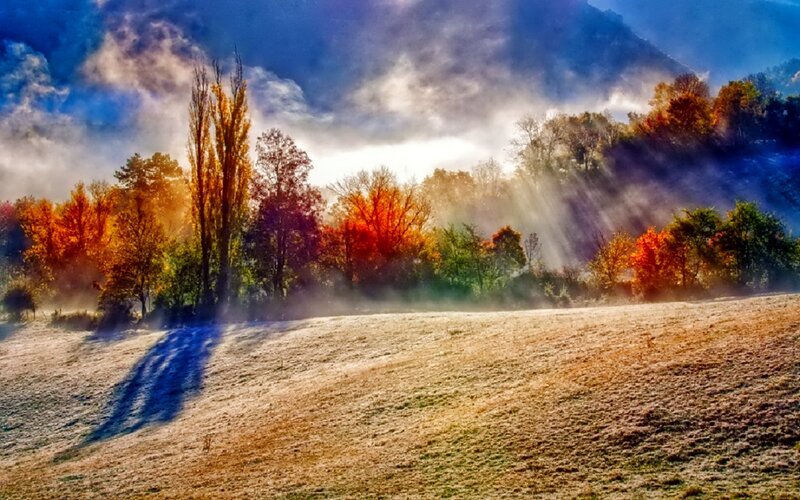 Autumn Field at Sunrise