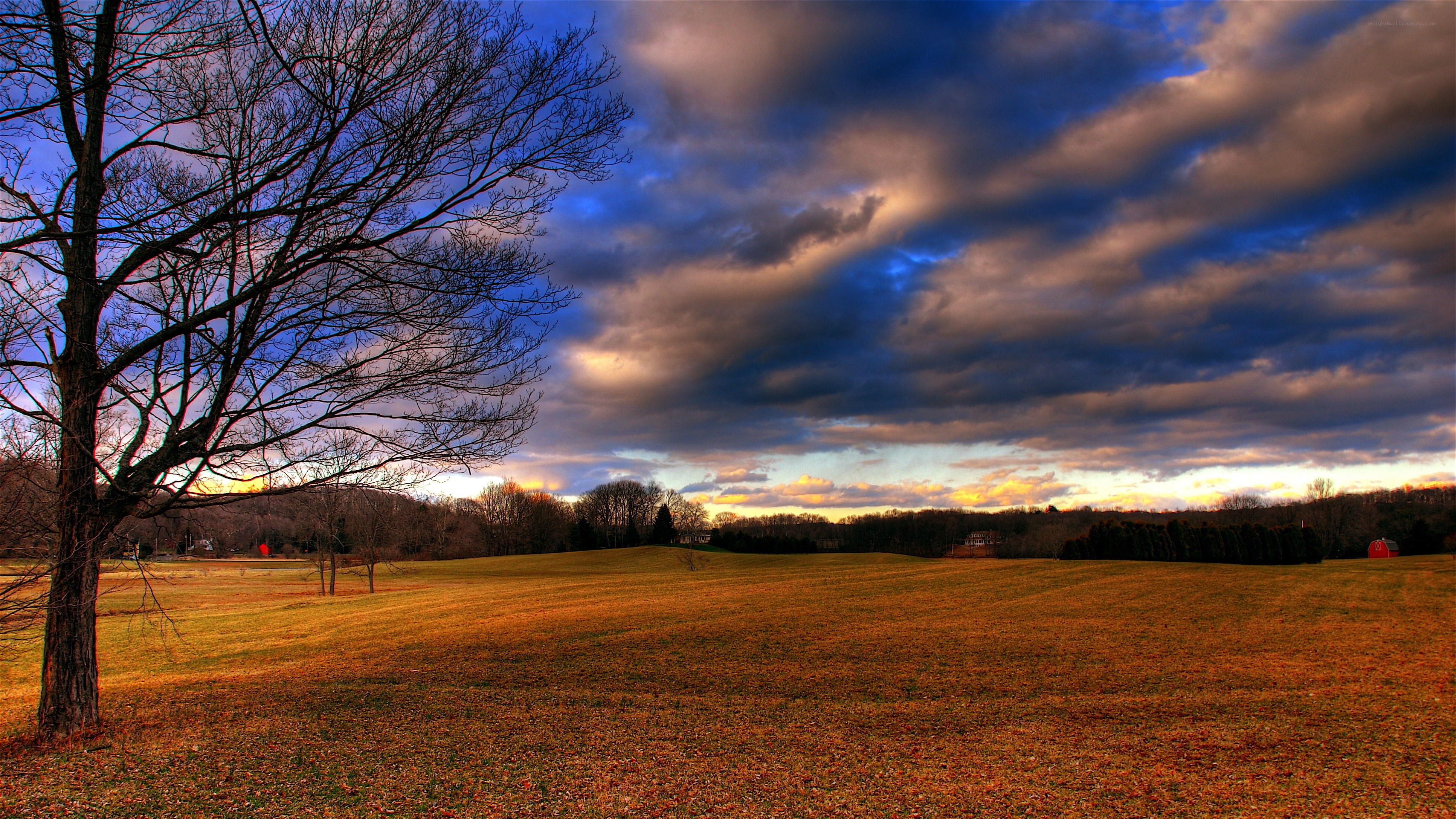 Autumn field at sunset