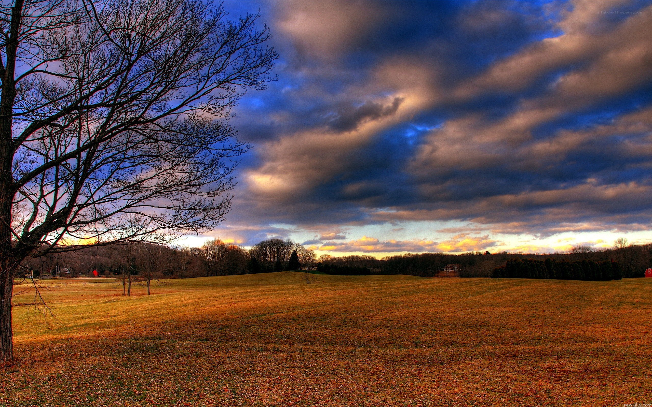 Autumn field at sunset