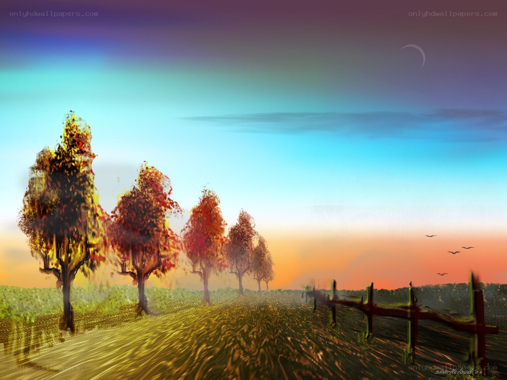 Autumn field at sunset
