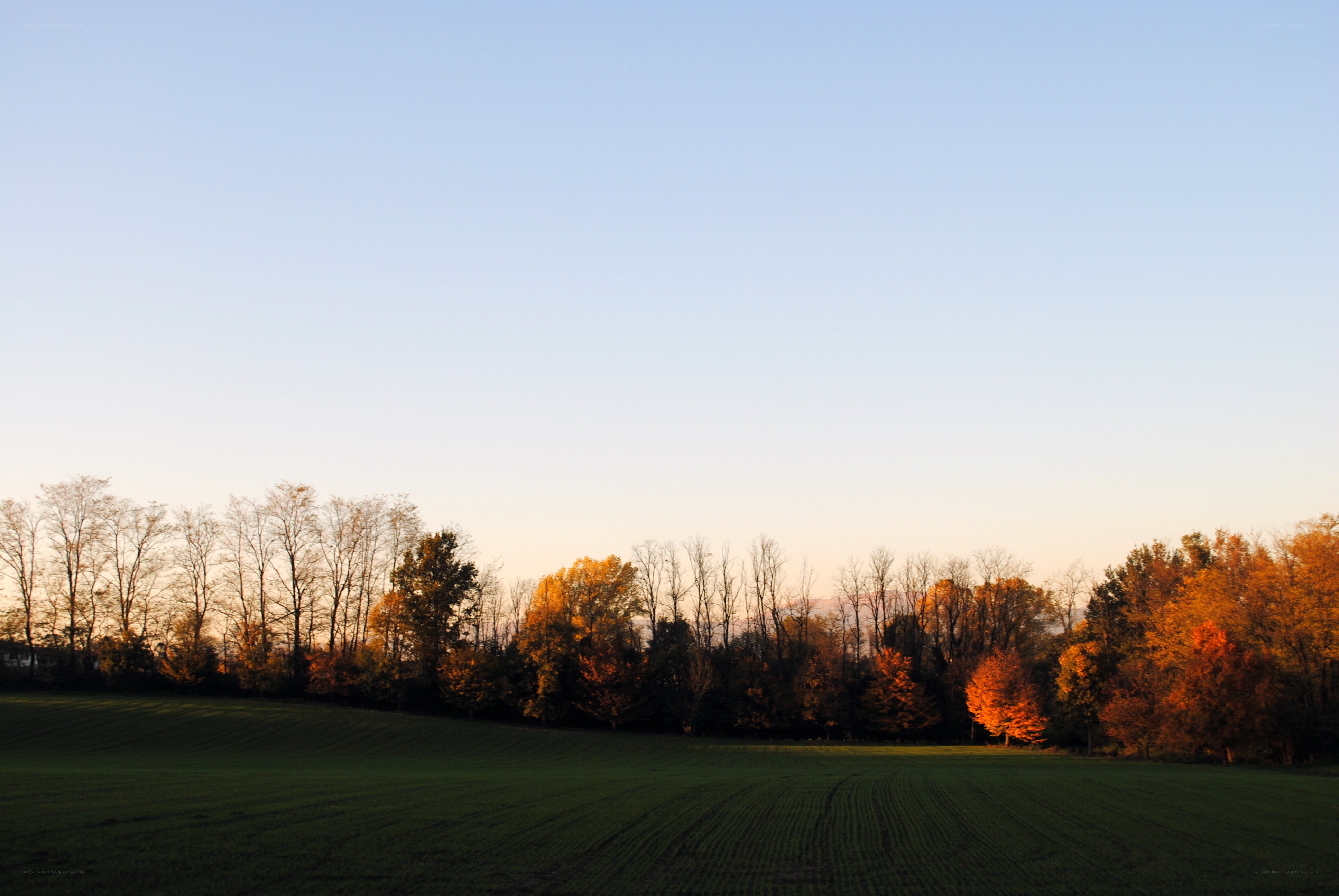 Autumn field at sunset