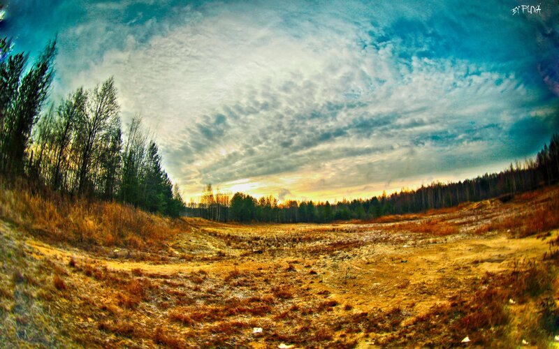 Autumn Field at Sunset — Blue