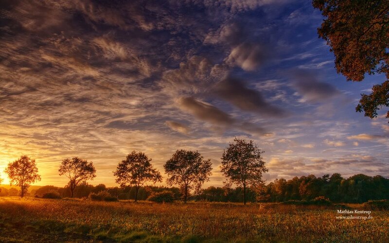 Autumn Field at Sunset — Orange, Serene