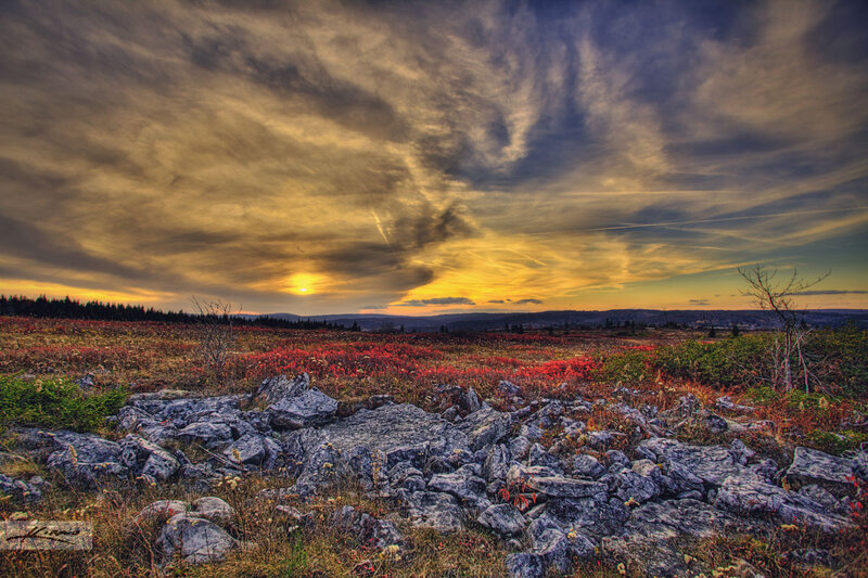 Autumn Field at Sunset — Yellow