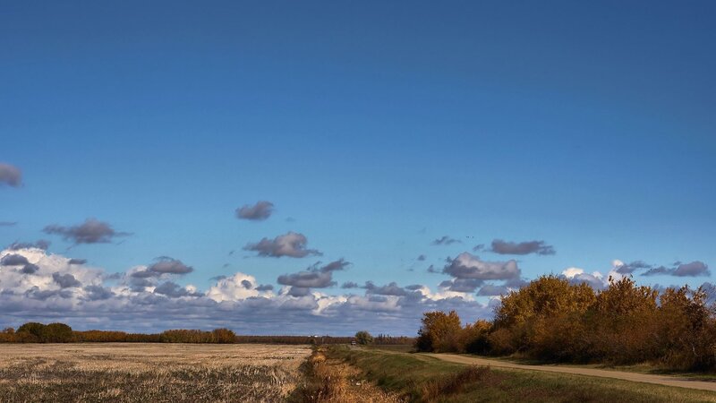 Autumn field under blue sky