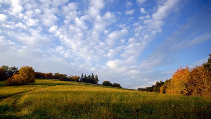 Autumn field under cloudy sky
