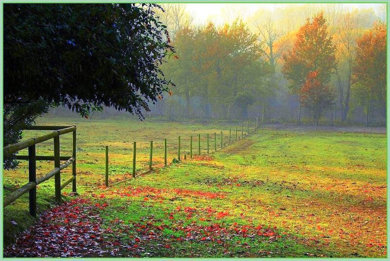 Autumn Field with Fence — Green