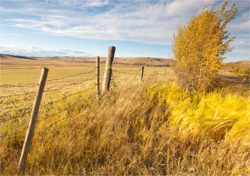 Autumn Field with Fence
