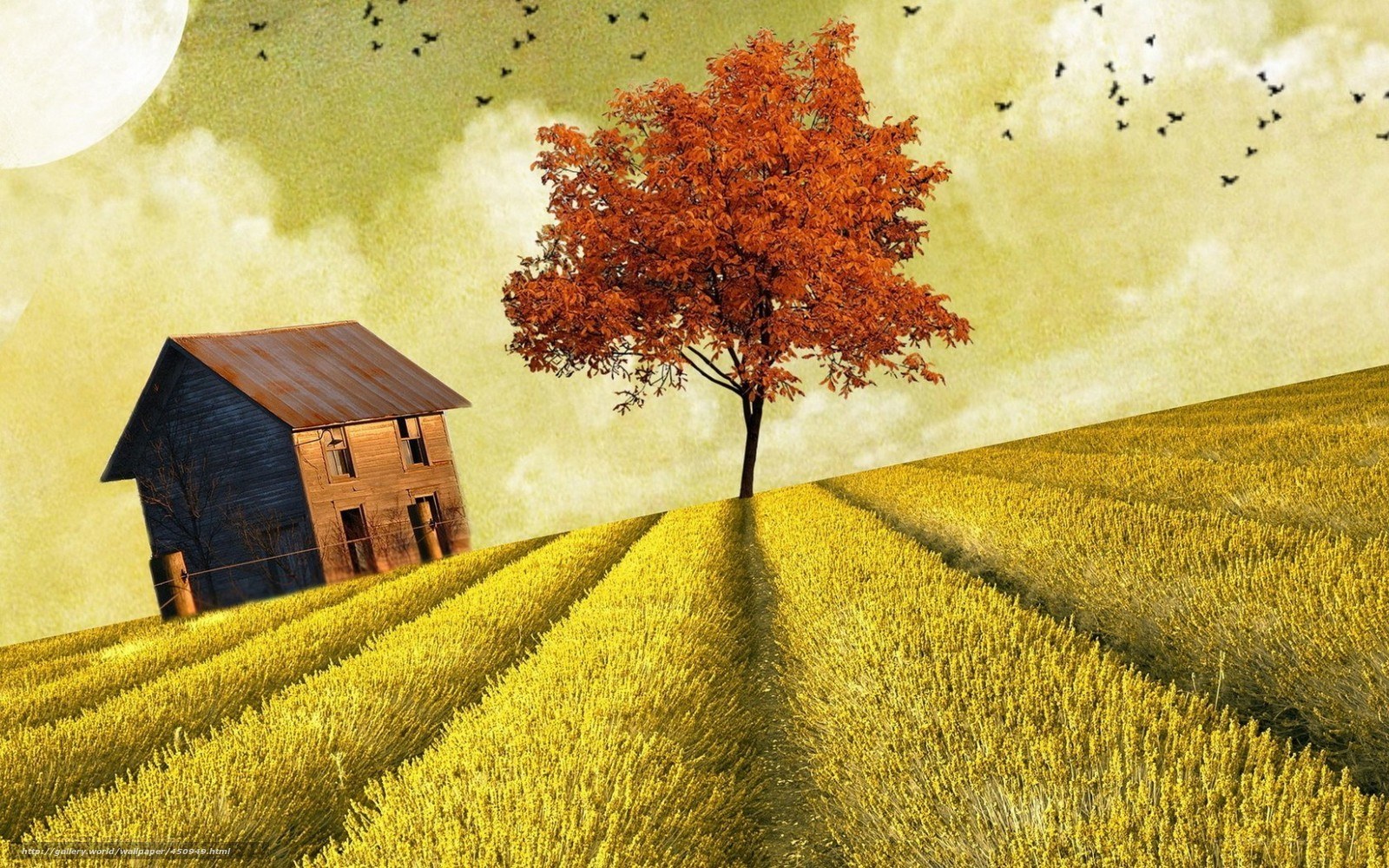 Autumn field with house and tree