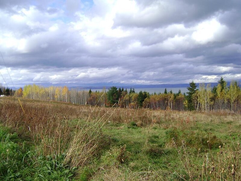 Autumn Field with Lake