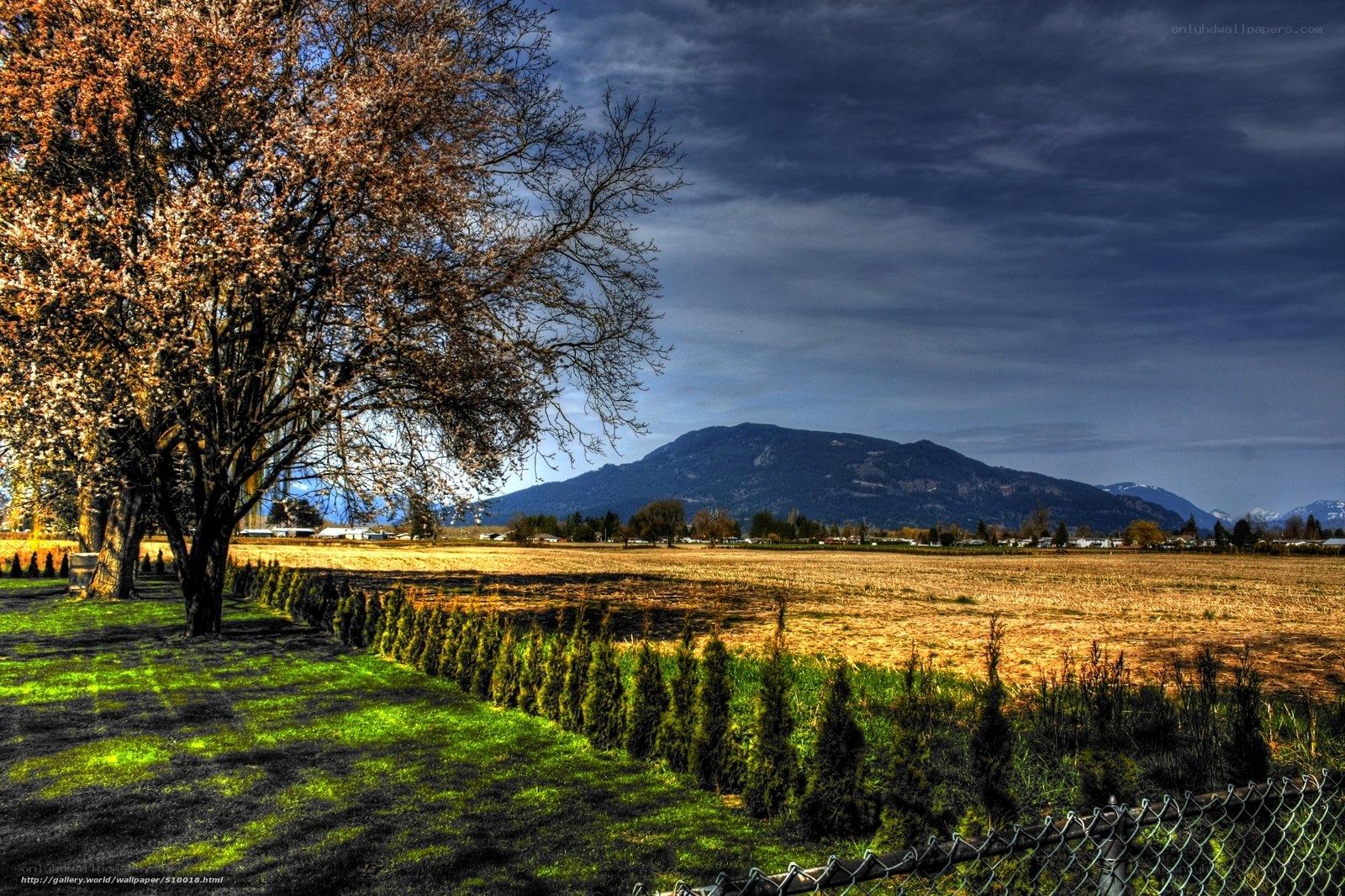 Autumn field with mountain view