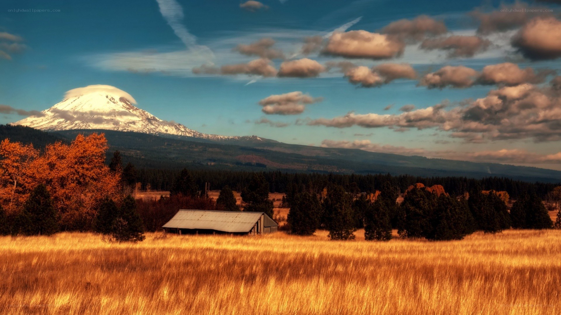 Autumn field with mountain view