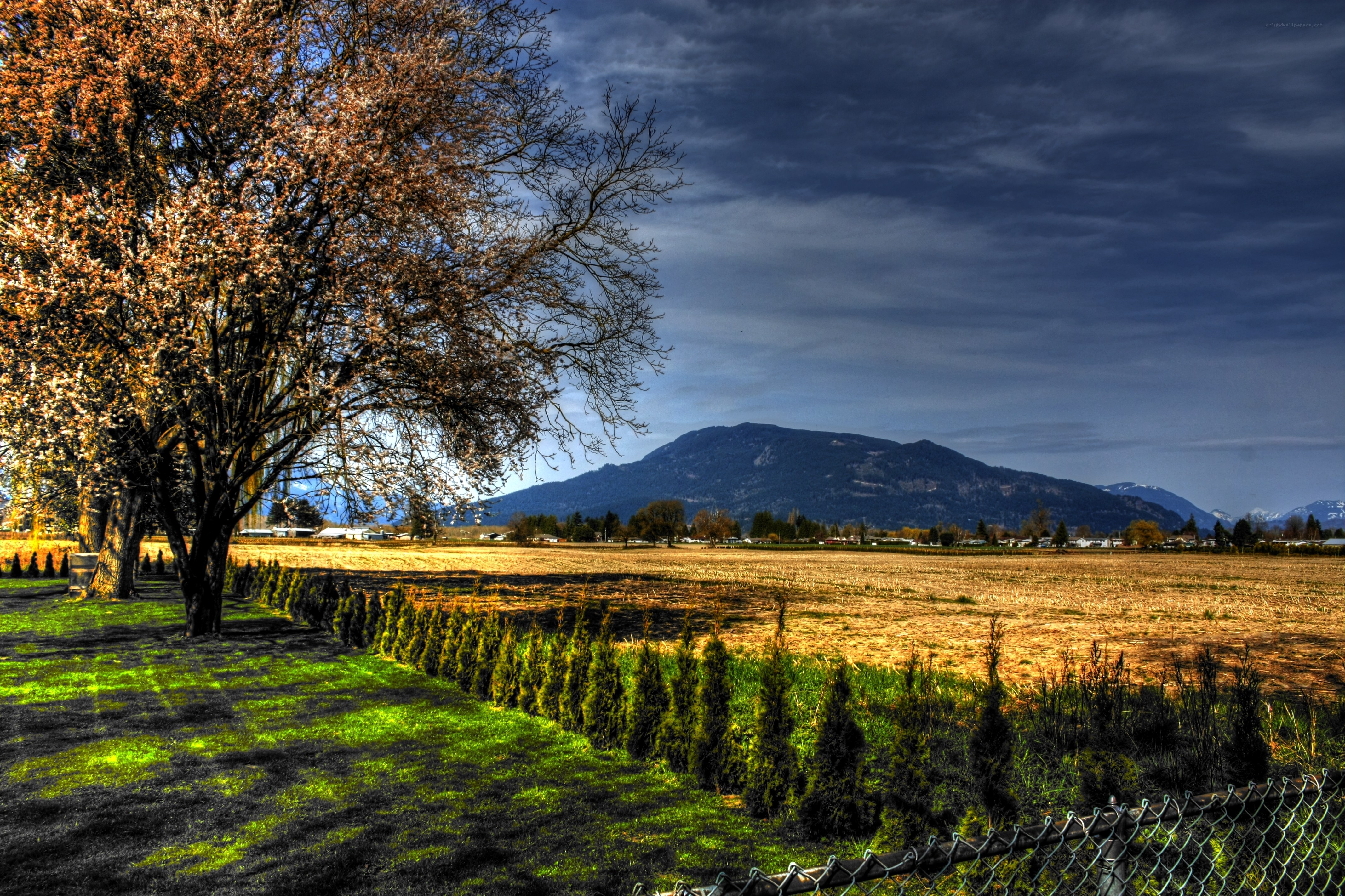 Autumn field with mountain view